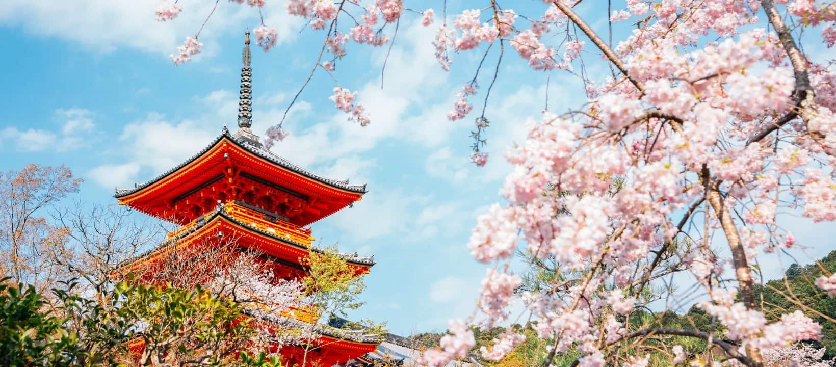 京都のサービス提供エリア